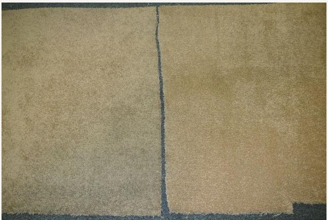 (image for) Polyester Carpet Premature Soiling